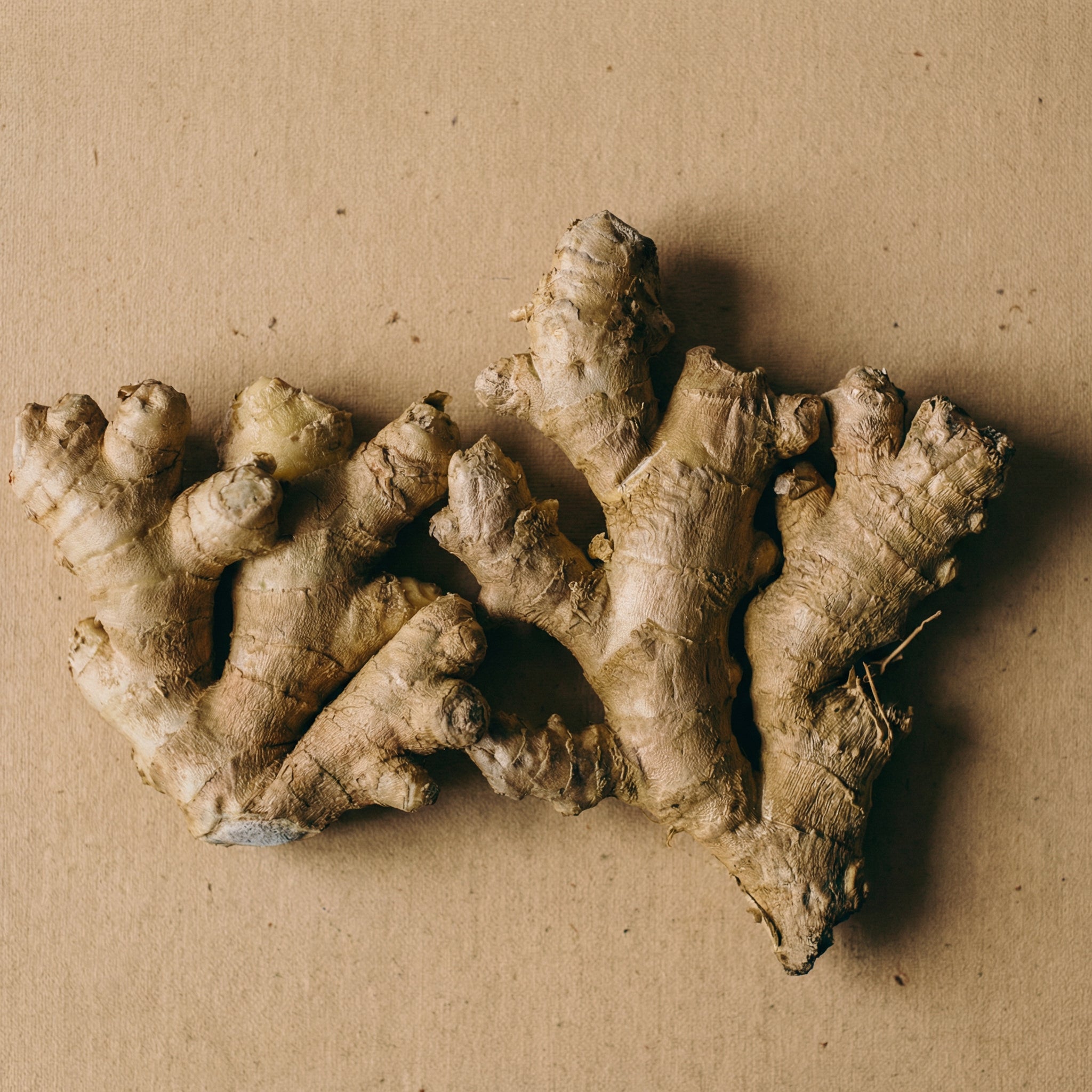 Conditioner | Citron