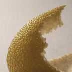 Shampoo | Yuzu / Hinoki